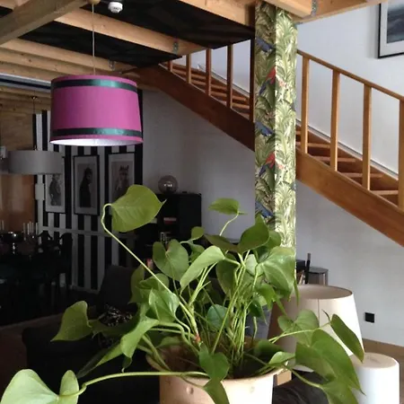 Πανδοχείο Largo Da Rainha, *