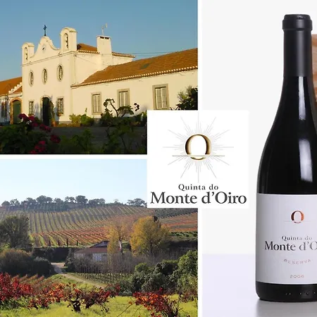 Largo Da Rainha, * Merciana